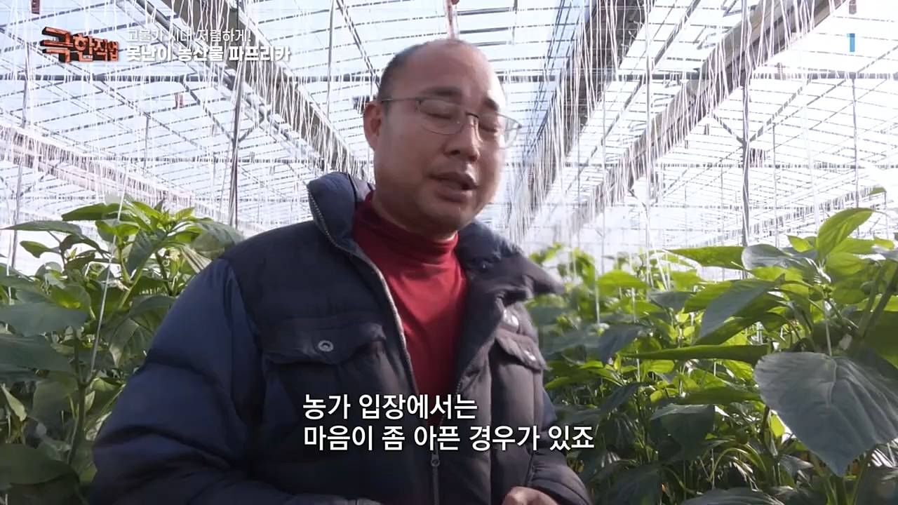 극한직업.E1046.221232p-NEXT.mp4_20230103_200856.711.jpg