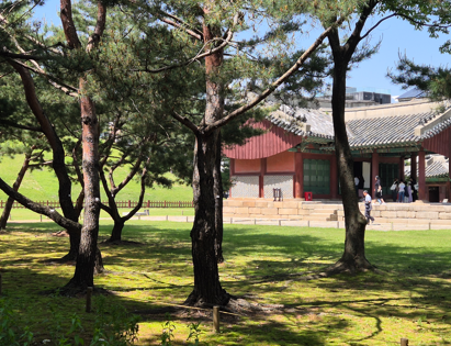  선릉과 정릉(선정릉, 유네스코 문화유산) 입장료,  관람시간, 무료관람