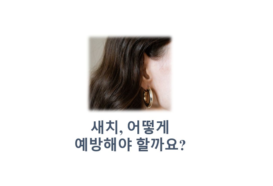 여성의-머리카락-사진