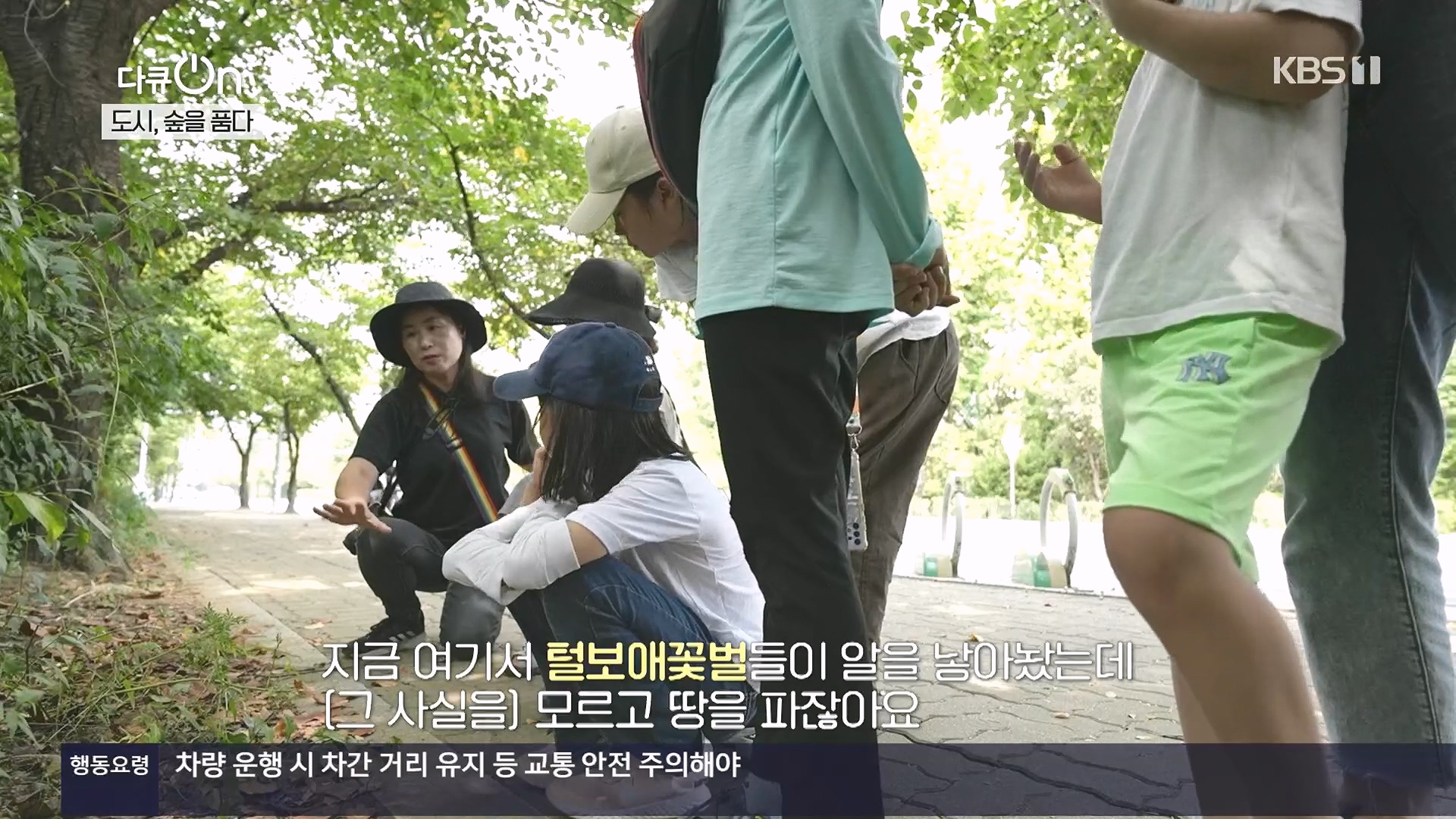 다큐 On.E232.231216p.H264-F1RST.mp4_20231220_204605.044.jpg