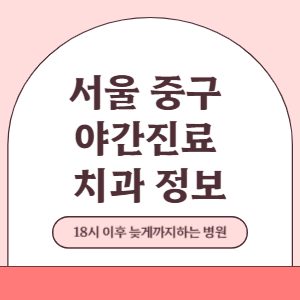 서울 중구 야간진료 치과 병원 (18시 이후 늦게까지하는 병원)