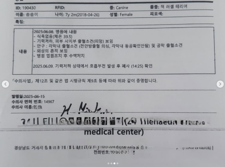 해병대원 비비탄 동물학대 사건