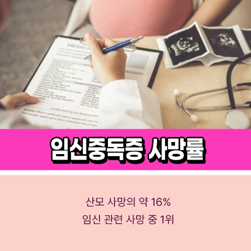 임신중독증 사망률