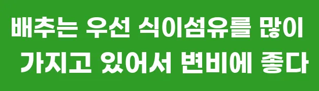 배추는 우선 식이섬유를 많이 가지고 있어서 변비에 좋다