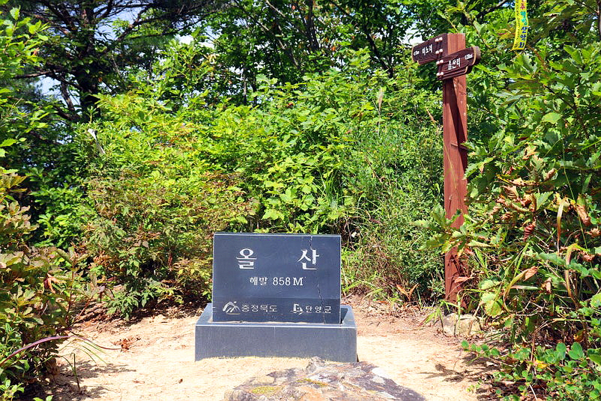 단양 올산