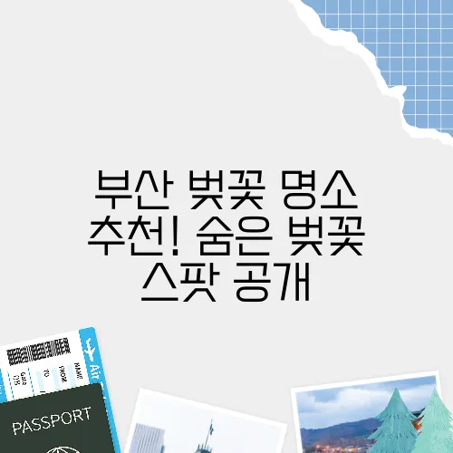 부산 벚꽃 명소 추천! 숨은 벚꽃 스팟 공개