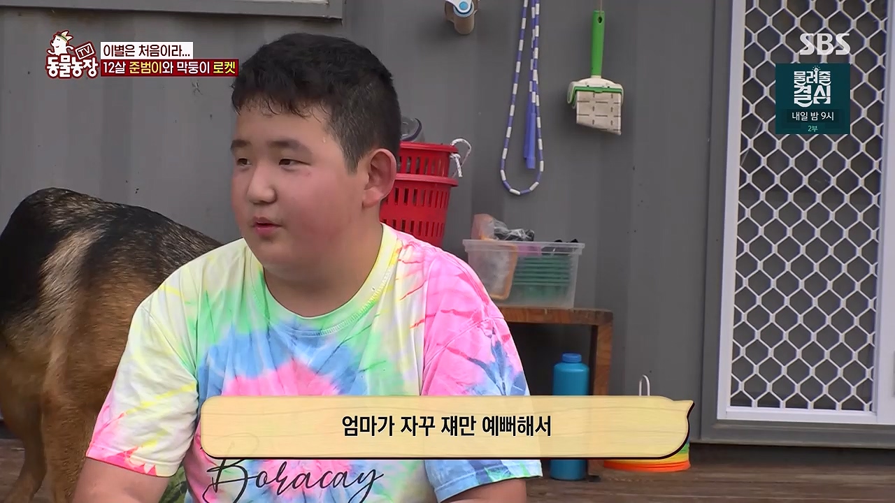 TV 동물농장 1189화 다시보기.ts_20240922_161951.793.jpg