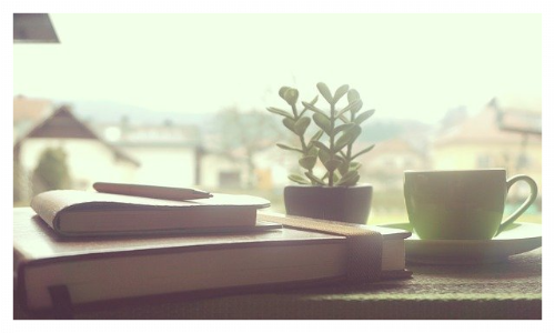 창가 앞 테이블 위 책과 커피 잔과 작은 화분