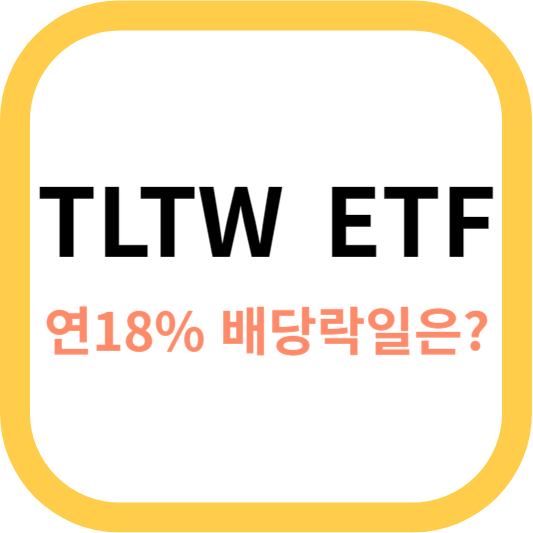 TLTW ETF 사진