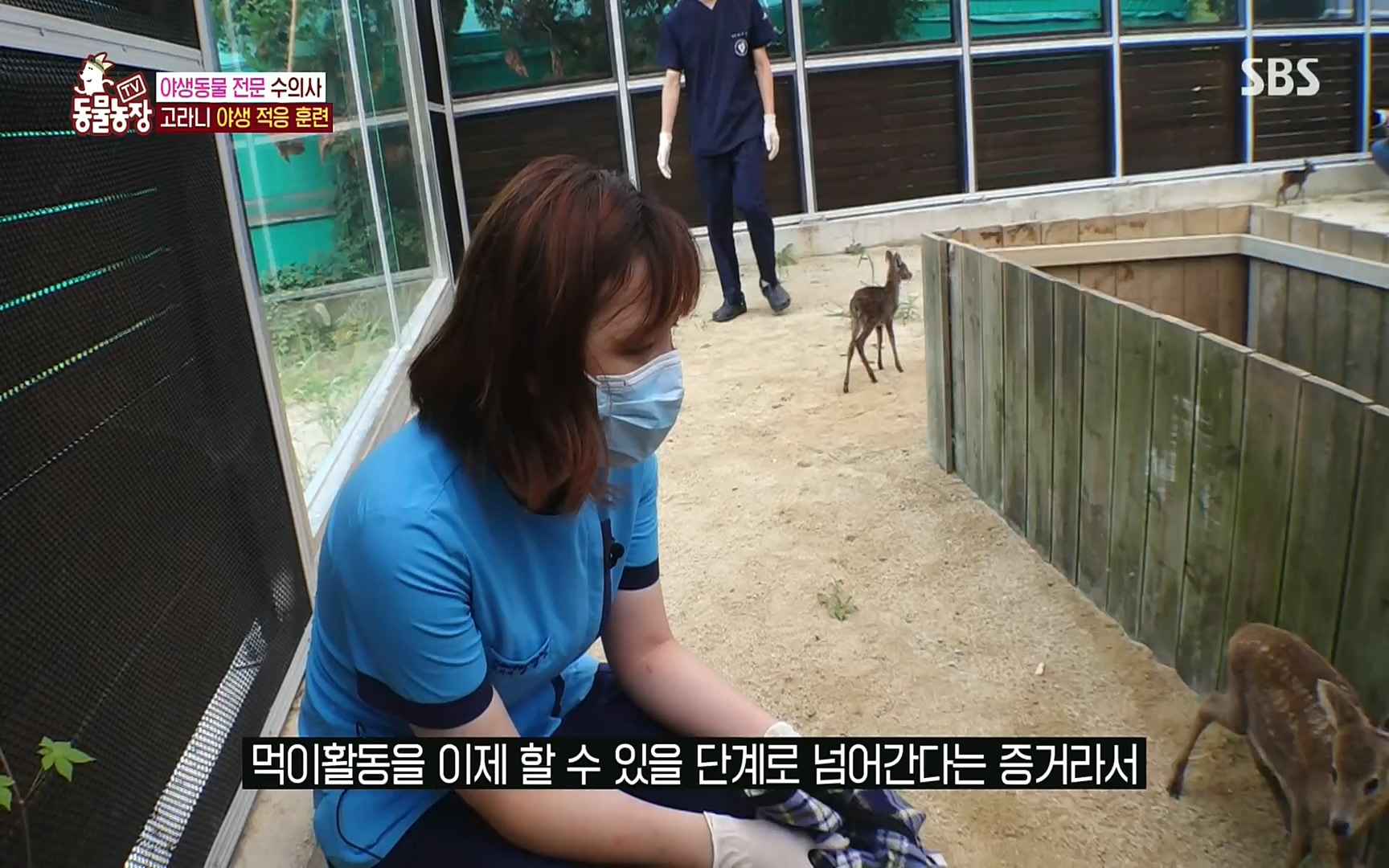 TV 동물농장.E1081.220807p.H264-F1RST.mp4_20220807_213633.061.jpg