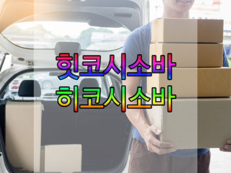  이삿날 먹는 음식 힛코시소바 = 이사날소바