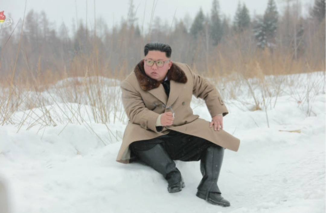  김정은 중태설 김정은 나이 리설주 김여정 김정철