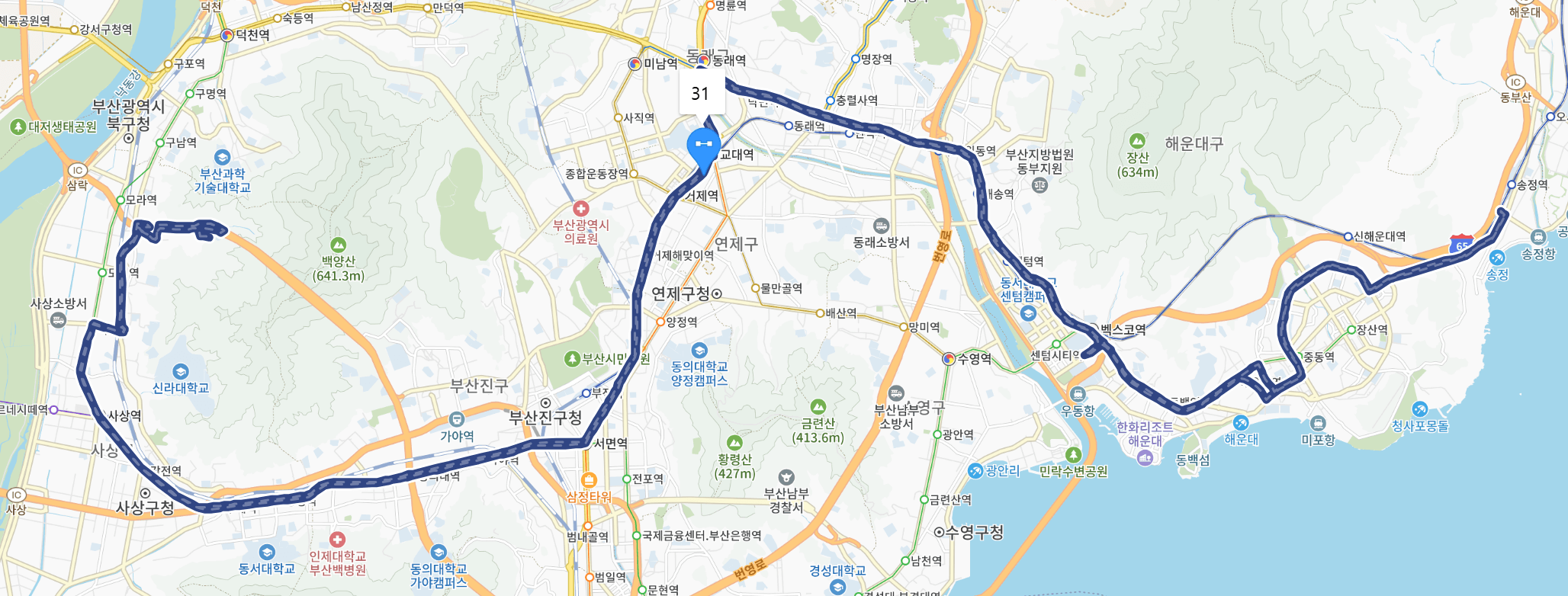 부산 31번 버스 노선 지도