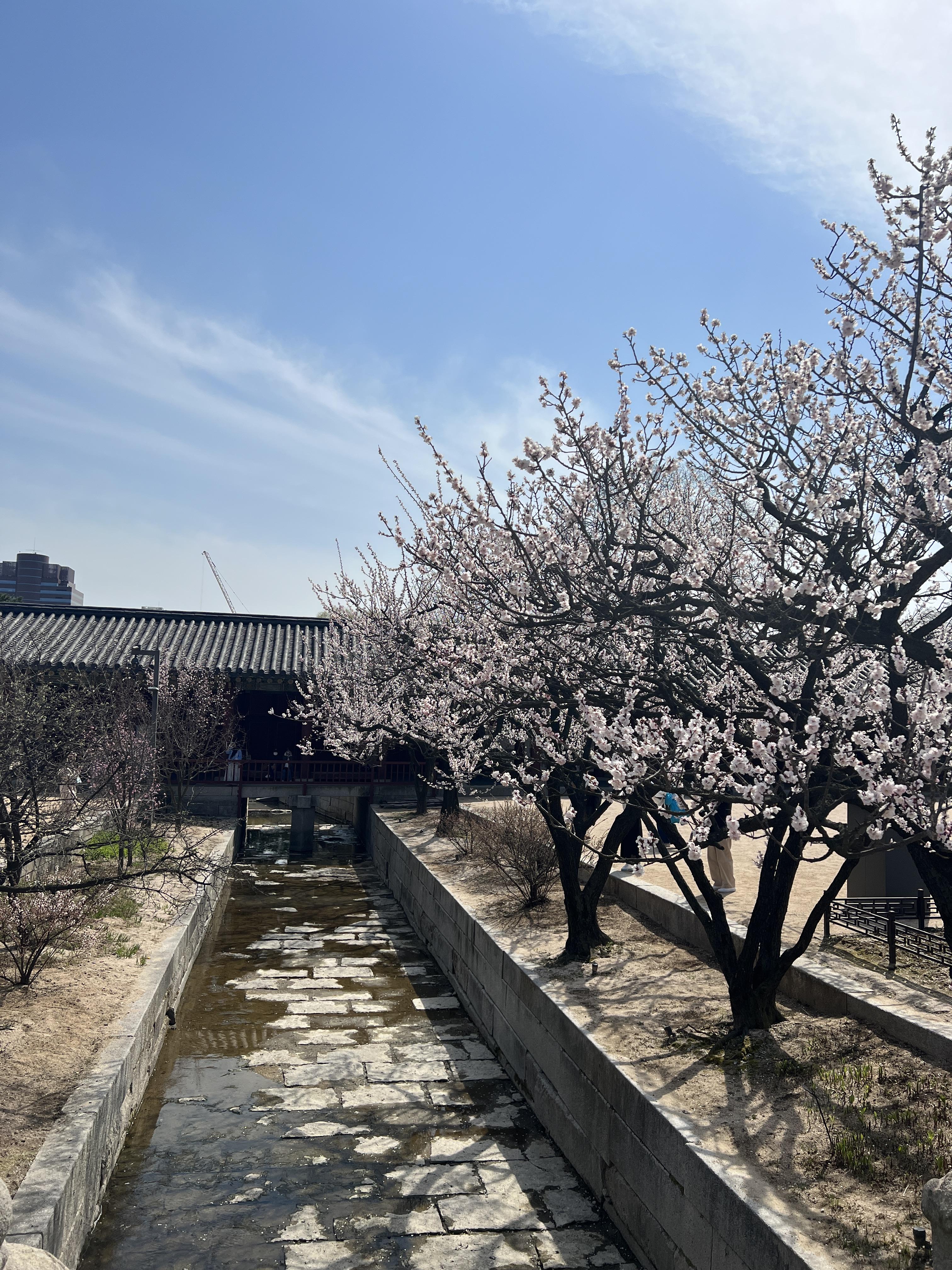 창경궁 입구 다리