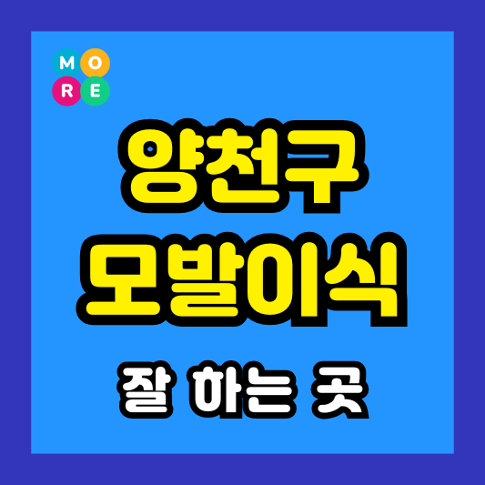 양천구 모발이식 비용 저렴하고 잘 하는 전문병원 BEST 3곳 추천 절개, 비절개