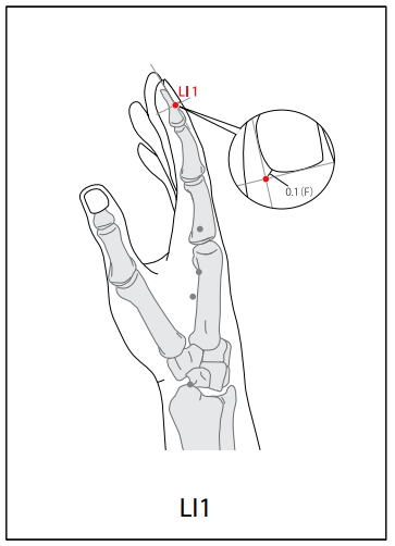 수양명대장경 (LI) > LI1 상양 (商陽) 1