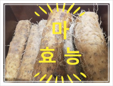 마즙 효능 부작용, 소화 잘되는 음식 1