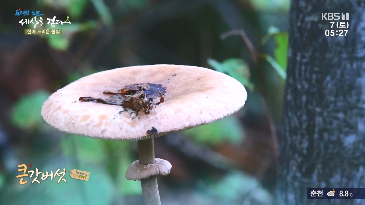 트레킹노트 세상을 걷다.E291.231008p-NEXT.mp4_20231007_171140.708.jpg