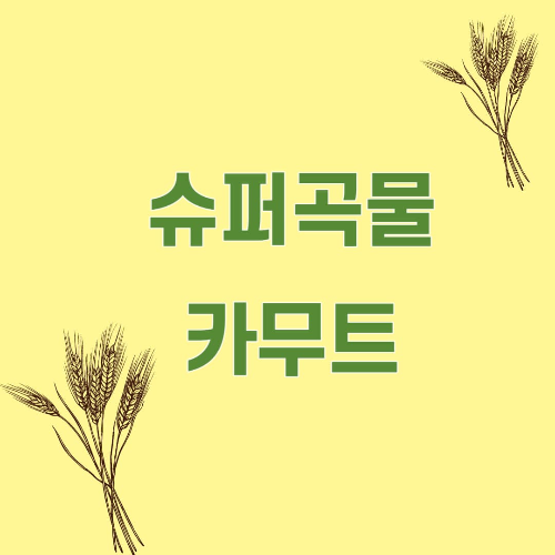 슈퍼곡물 카무트