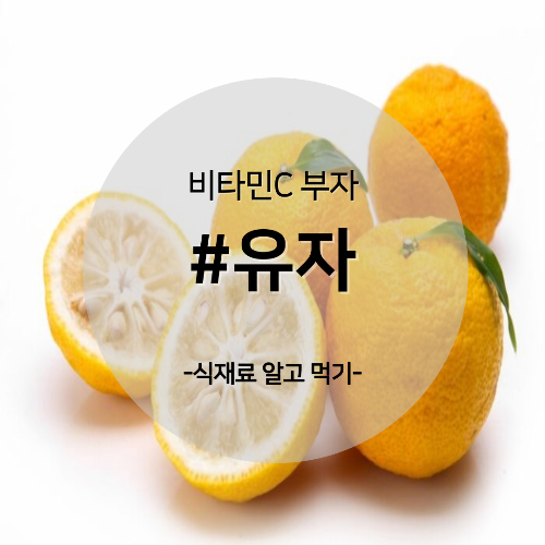  알고 먹기 23. #유자