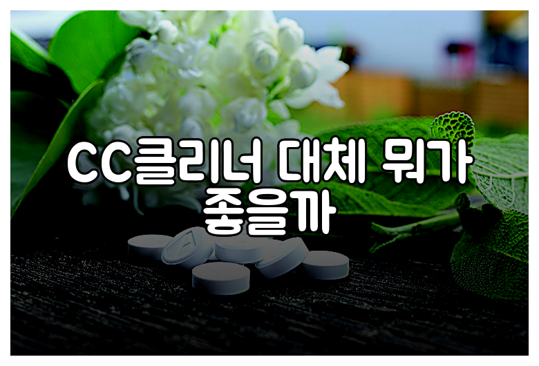 CC클리너 대체 뭐가 좋을까