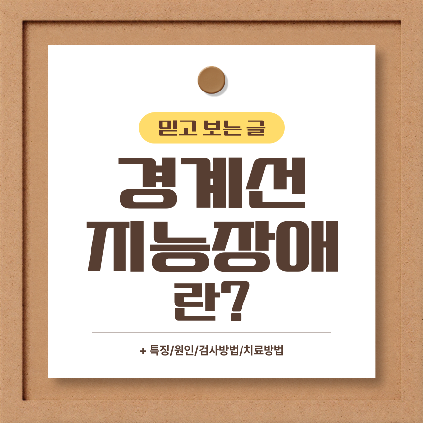  경계선 지능장애 란?