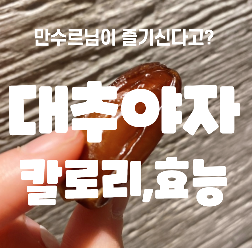  *대추말랭이! 만수르가 즐겨 드신다는 대추야자 효능 칼로리 정복하기*
