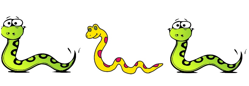  뱀 꿈 해몽 풀이