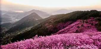 천주산 진달래축제 등산코스 맛집_45