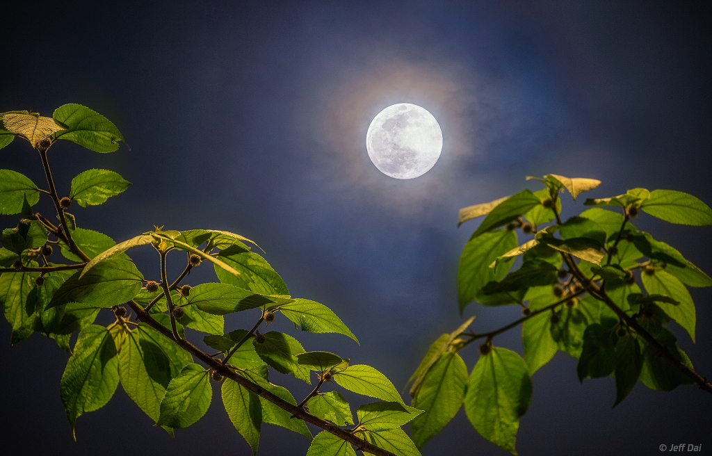 만월(Full Moon) 이미지