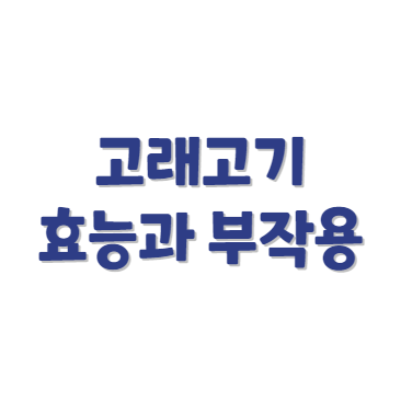 고래고기효능