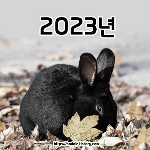 2023년-무슨해?