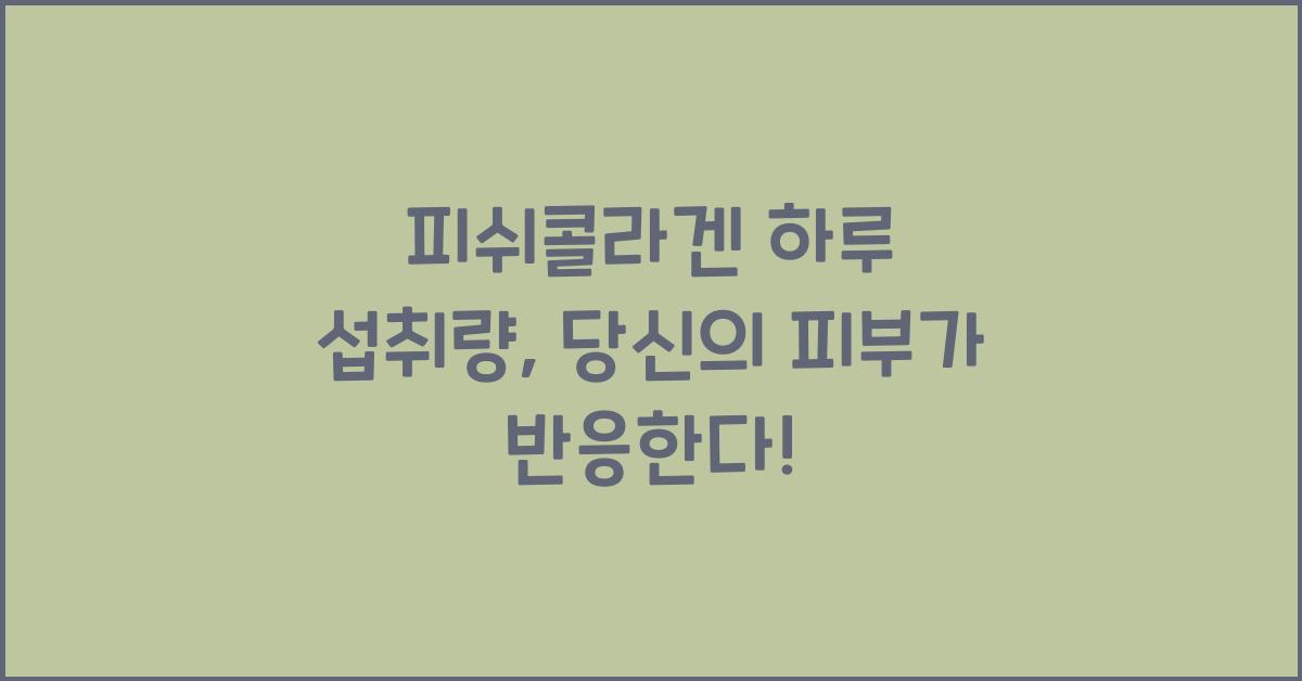 피쉬콜라겐 하루 섭취량