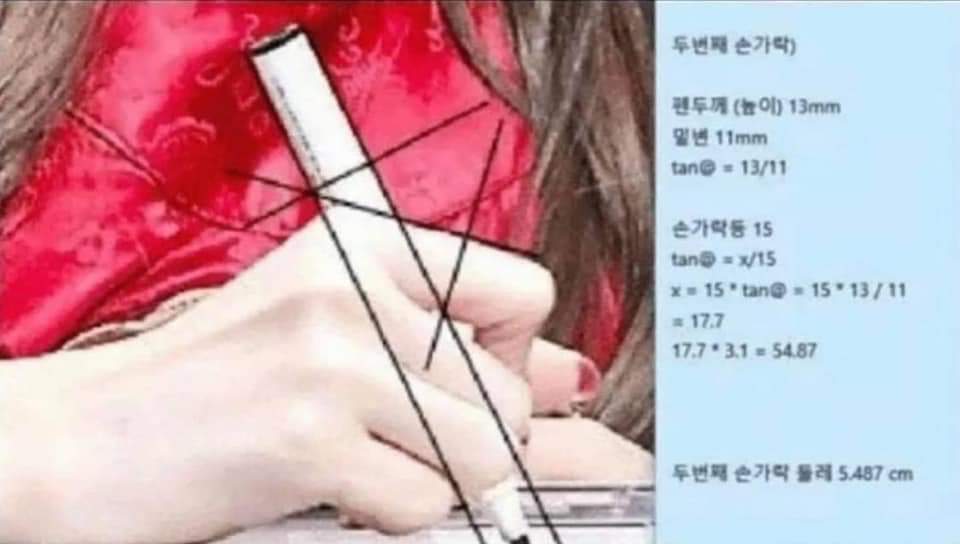  덕질 역사에 길이길이 남을 이과생 팬의 조공