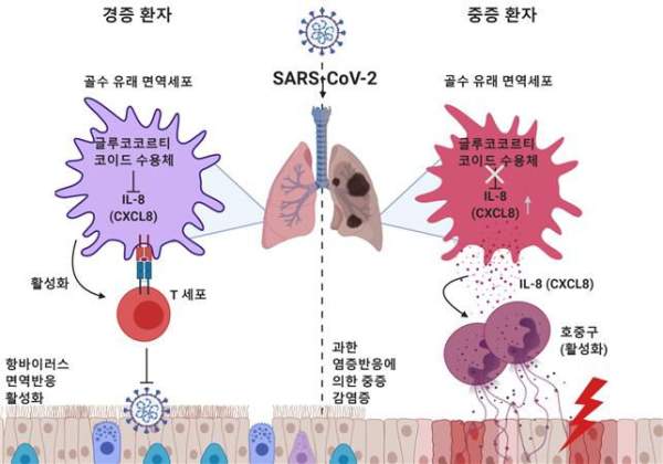 호산구 수치가 높으면