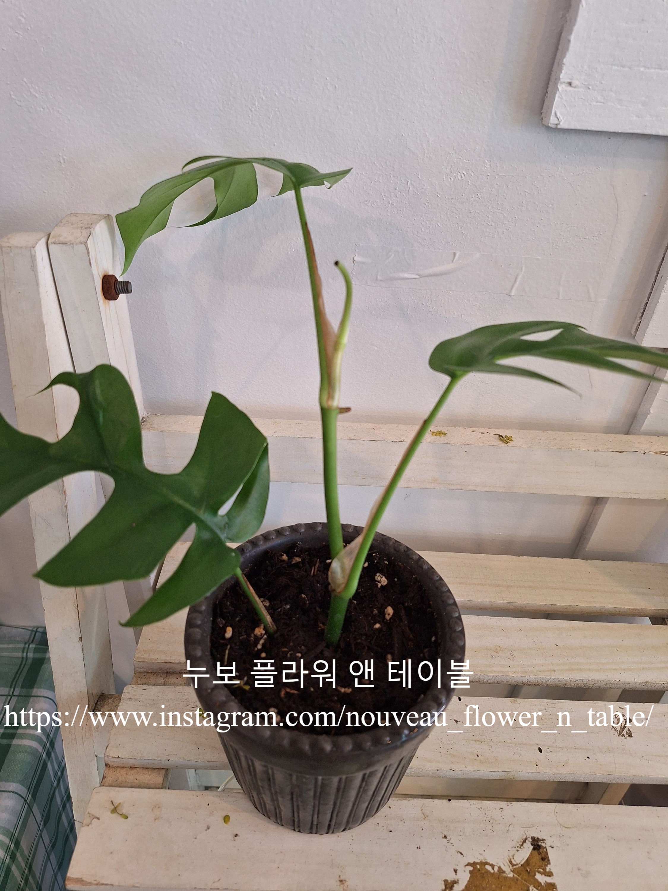 폴리지파트너스 이미지