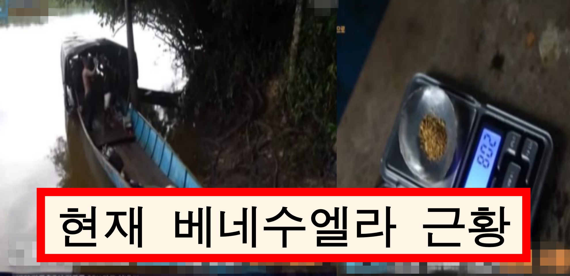  멍청한 사람이 정치하면 나라가 저렇게 된다고?