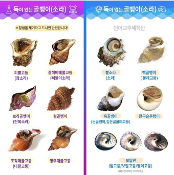 ⓒ네이버이미지