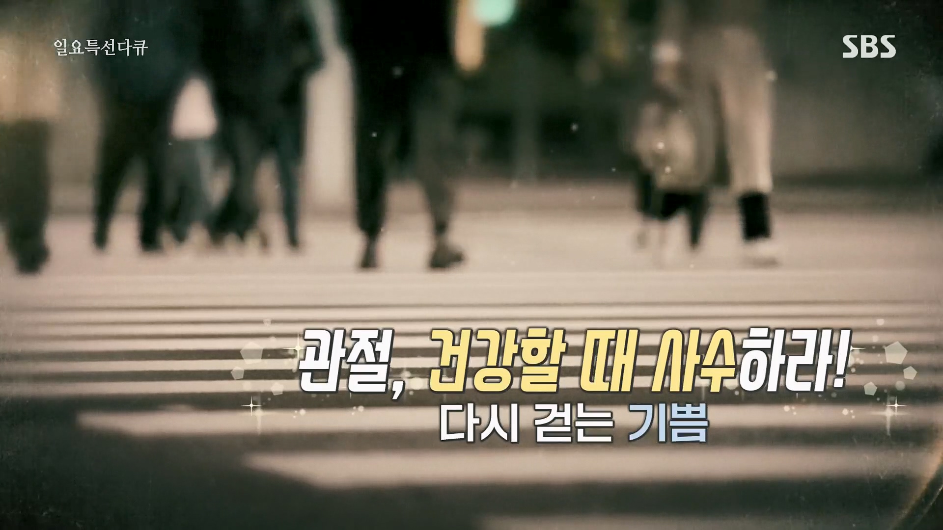 일요 특선 다큐멘터리.E313.230604p.H264-F1RST.mp4_20230605_205023.427.jpg