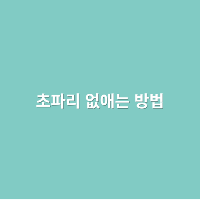  초파리 없애는 방법