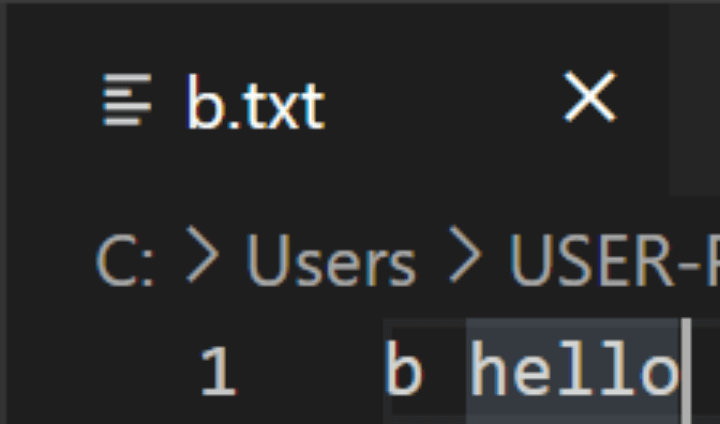 b.txt 파일 생성