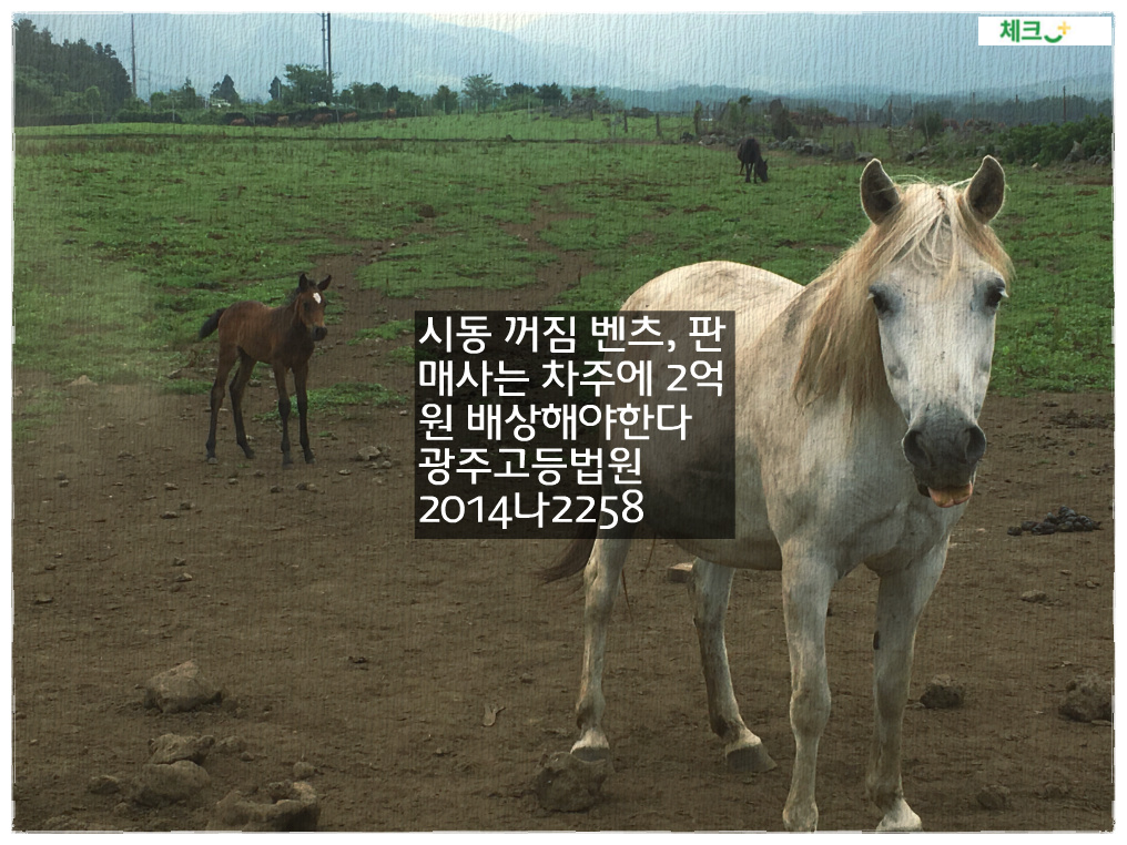 시동 꺼짐 벤츠, 판매사는 차주에 2억원 배상해야한다