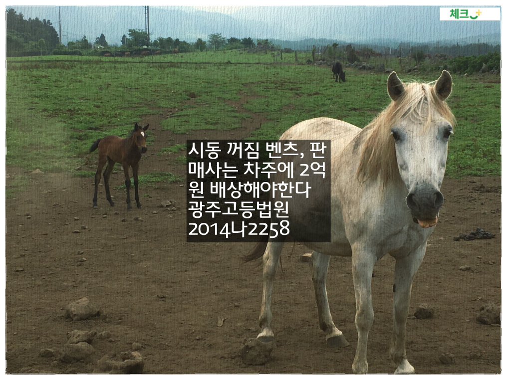 시동 꺼짐 벤츠&#44; 판매사는 차주에 2억원 배상해야한다