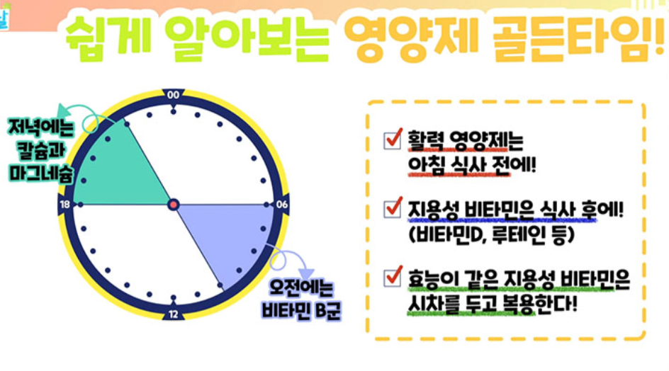  영양제 골든타임 영양제 언제 먹어야 좋을까  영양제복용법