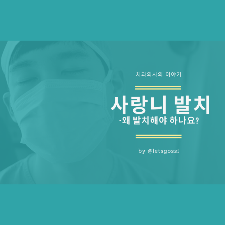  사랑니 발치 이야기 1탄