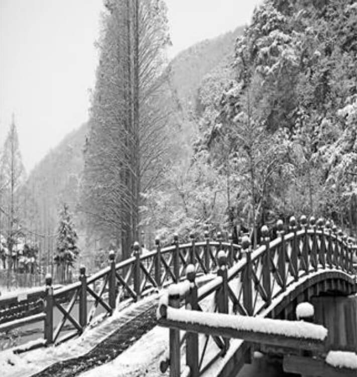 장태산자연휴양림 겨울사진