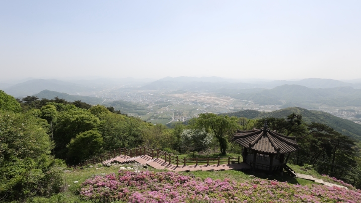 동네한바퀴-음성-올갱이탕-올갱이해장국