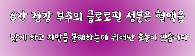  6간 건강 부추의 클로로필 성분은 혈액을 맑게 하고 지방을 분해하는데 뛰어난 효능이 있습니다