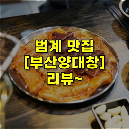  범계 맛집 [부산양대창] 리뷰~