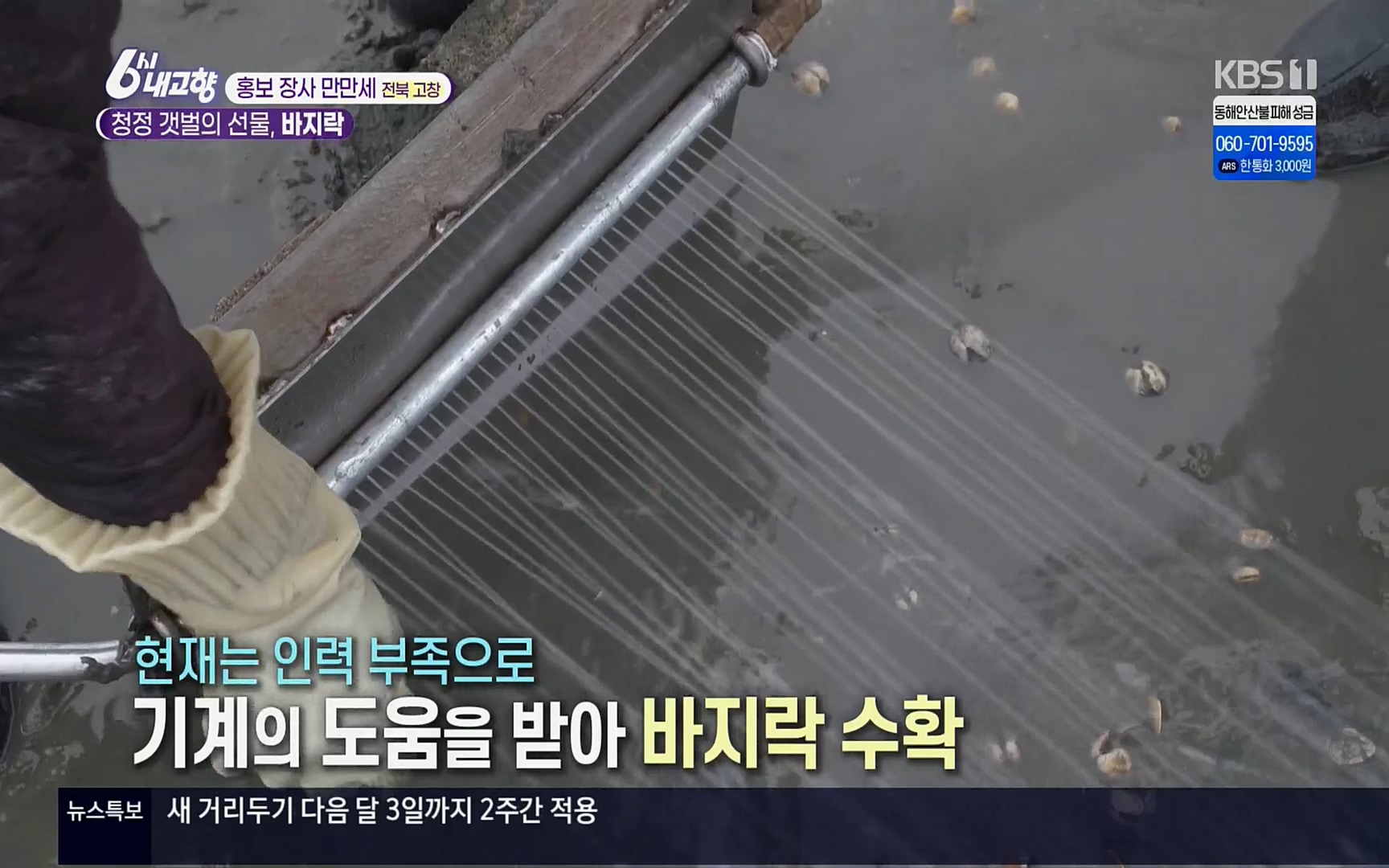 6시 내고향.E7494.220322p.H264-F1RST.mp4_20220326_174052.642.jpg